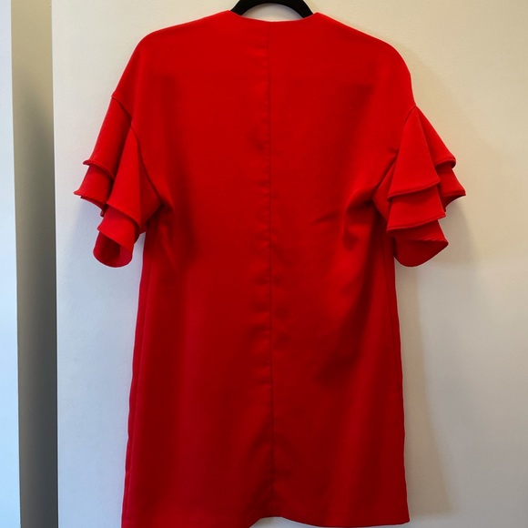 Zara Ruffle Sleeve Dress - Picture 2 of 4